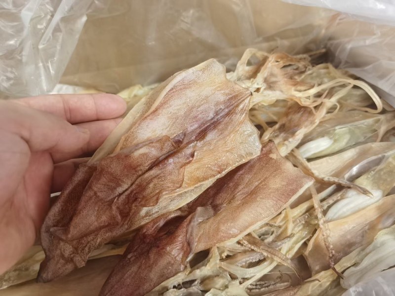 鱿鱼母干