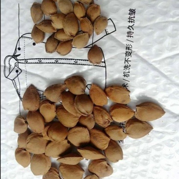 杏核甜
