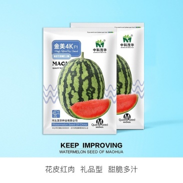 金美4K礼品西瓜种子，含糖13.5，甜脆多汁，口感风味佳