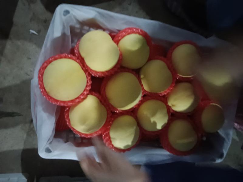 黄金桃大量上市，价格便宜货源充足预购提前电话联系