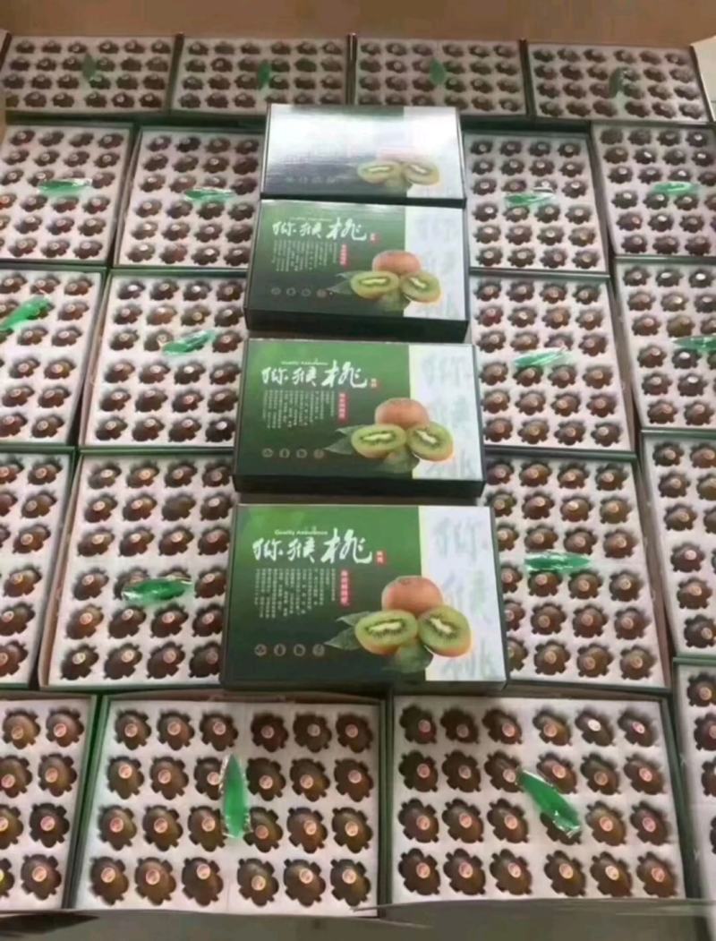 陕西绿心徐香猕猴桃一件代发产地直供现货采摘味甜多汁纯甜