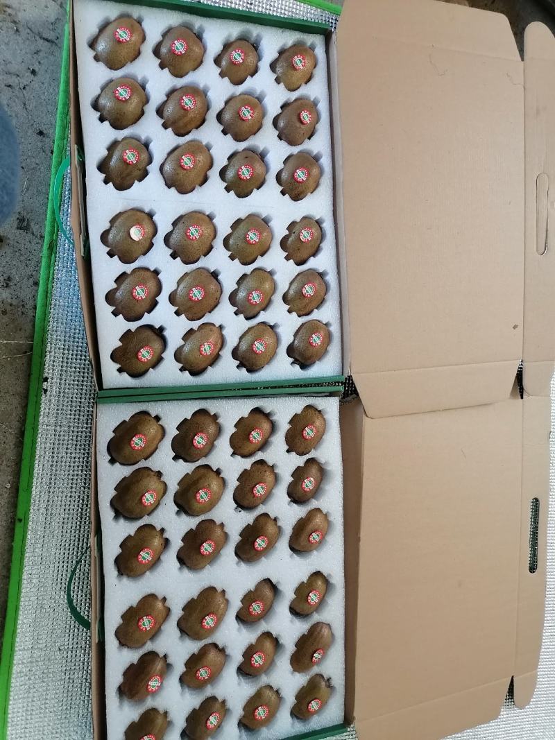 陕西绿心徐香猕猴桃一件代发产地直供现货采摘味甜多汁纯甜