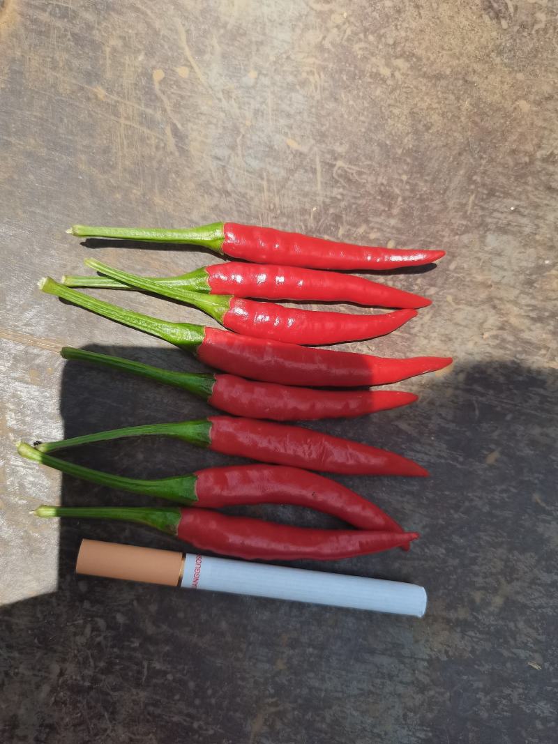 红辣椒新52