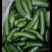 黄瓜扭水果黄瓜次品山东菏泽小黄瓜种植基地