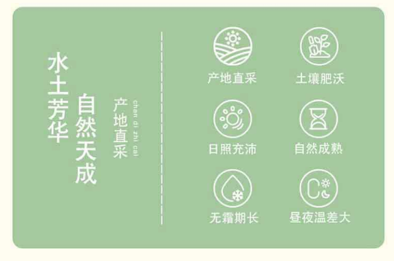 绿豆，袋装，贴牌生产代加工产自硒都恩施新