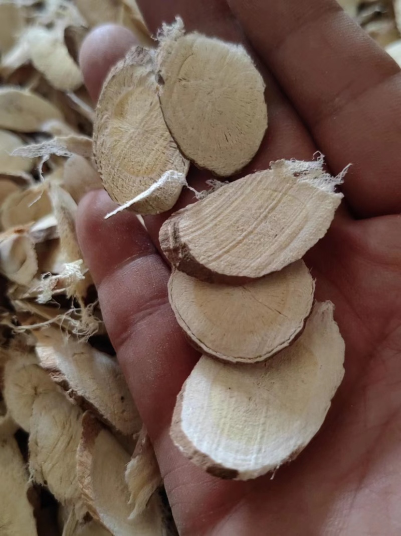 甘孜理塘县高原野生黄芪保证纯野生欢迎视频看货