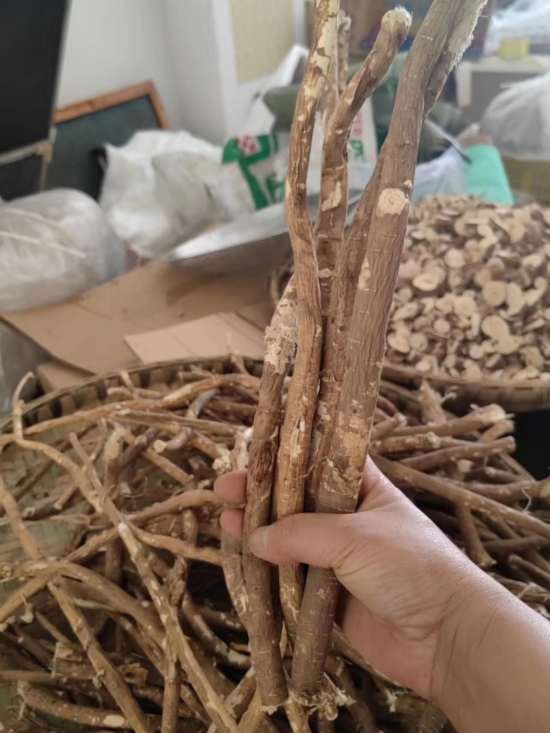 甘孜理塘县高原野生黄芪保证纯野生欢迎视频看货