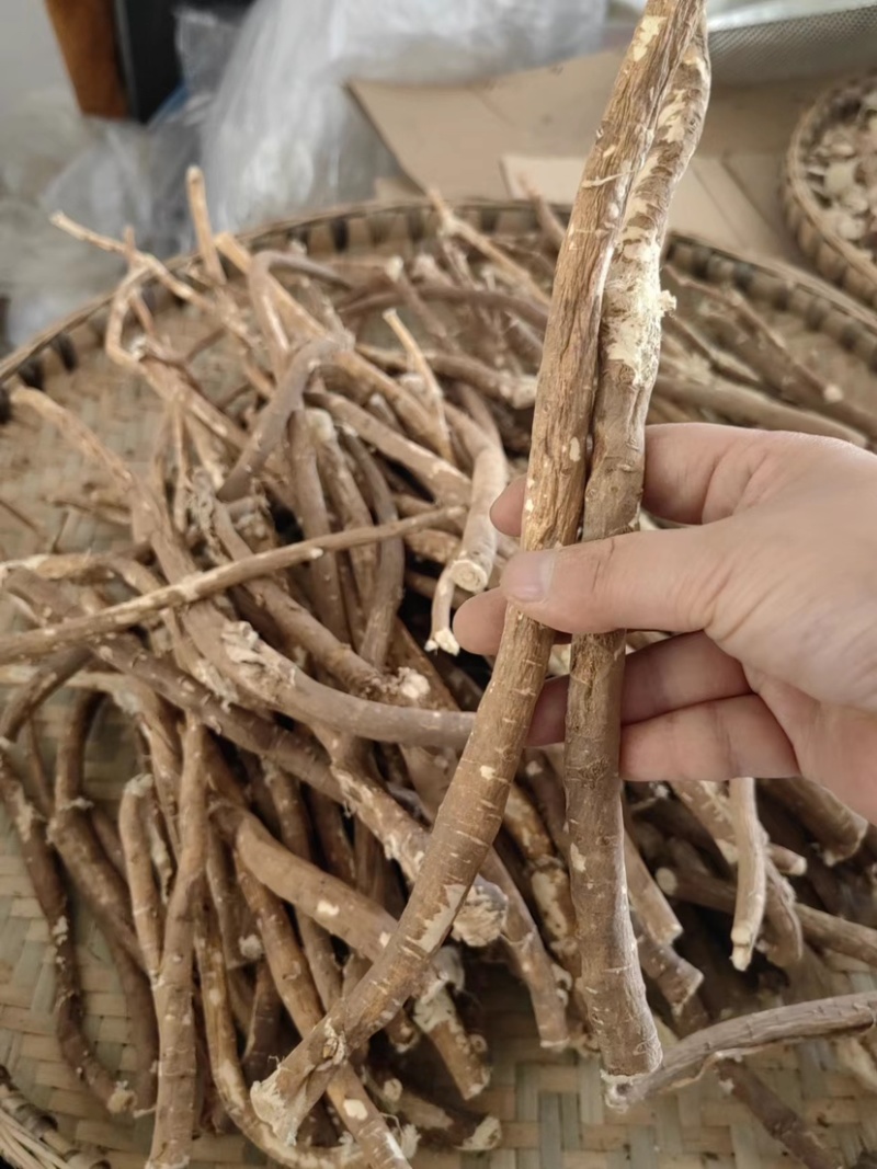 甘孜理塘县高原野生黄芪保证纯野生欢迎视频看货