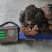 秦岭深山桦树茸干货2-10斤通货