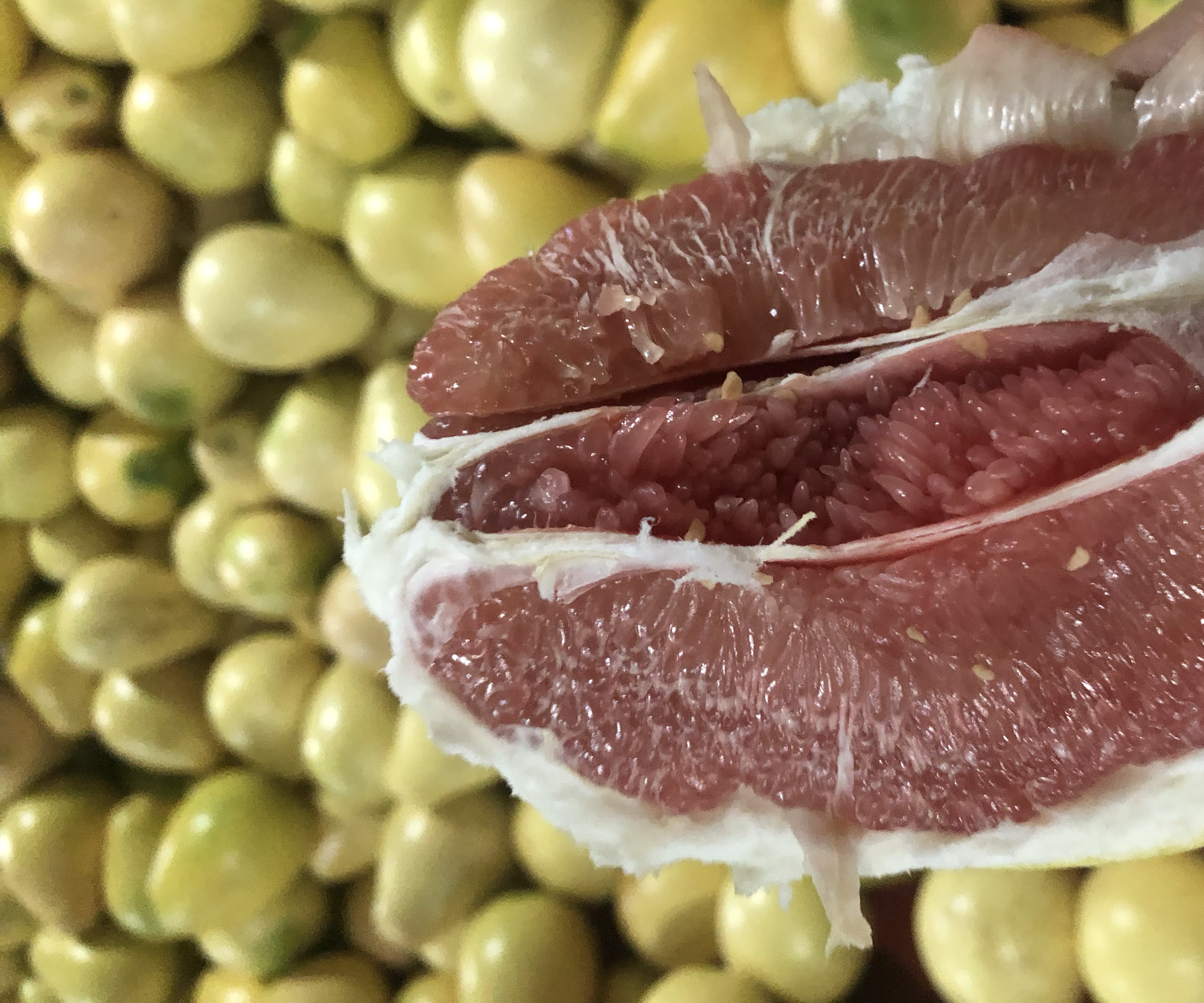 红心蜜柚果肉特写