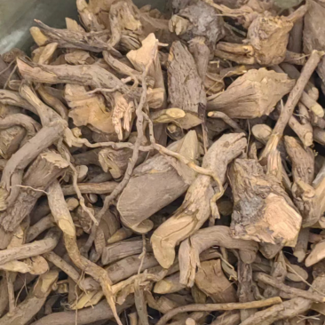 高原纯野生黄连保证质量视频看货量大从优