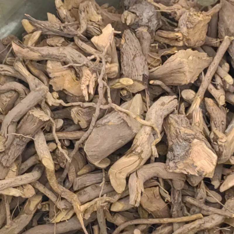 高原纯野生黄连保证质量视频看货量大从优