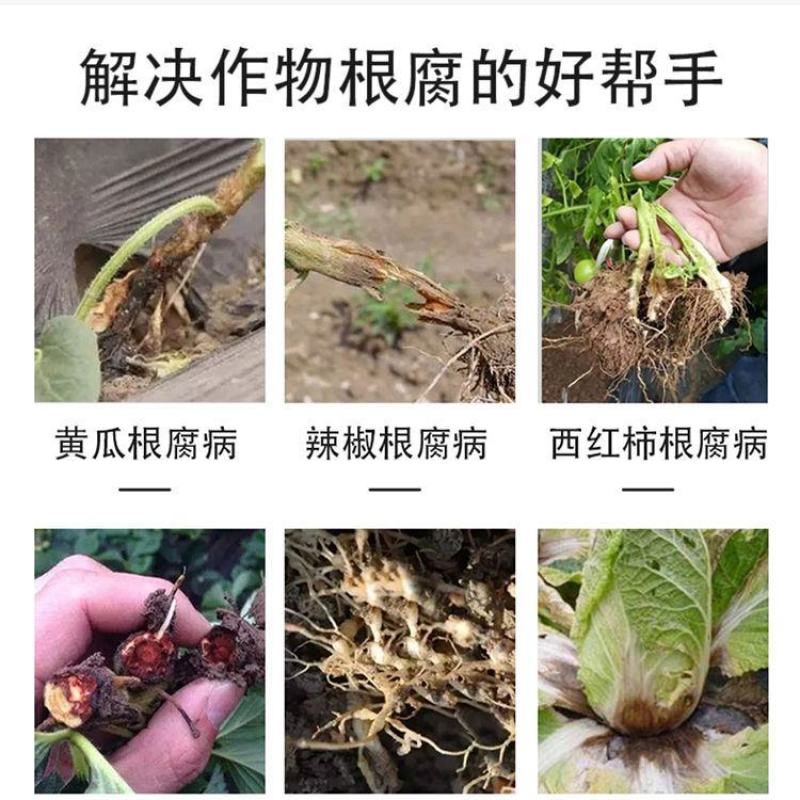 根腐净可用辣椒番茄用微生物菌肥瓜果蔬菜棉花花卉农肥