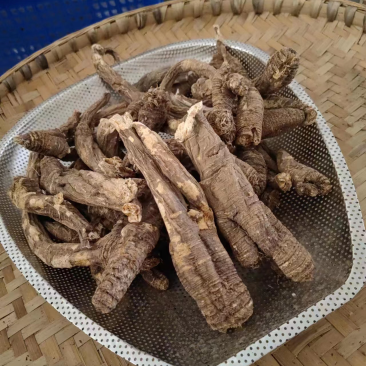 甘孜理塘县高原野生当归产地发货货品质保证