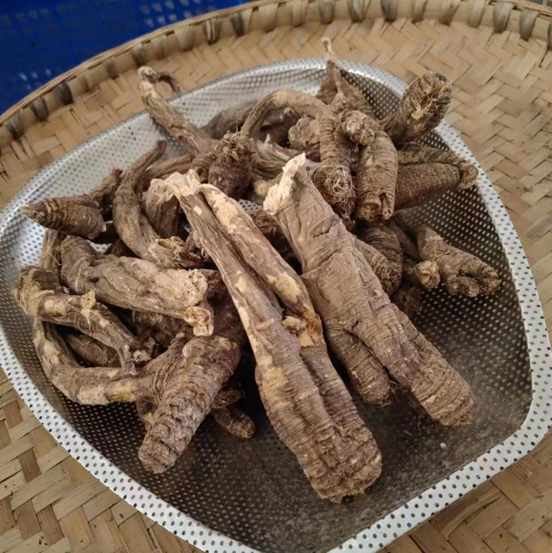 甘孜理塘县高原野生当归产地发货货品质保证