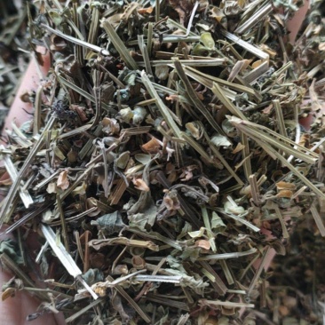 (热销)半枝莲新货药大量货源当天发货中药材批发祥泰