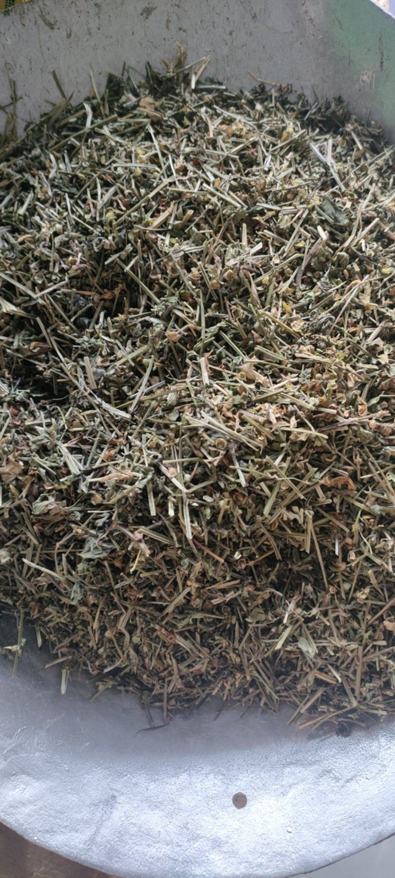 （热销）半枝莲新货药大量货源当天发货中药材批发祥泰