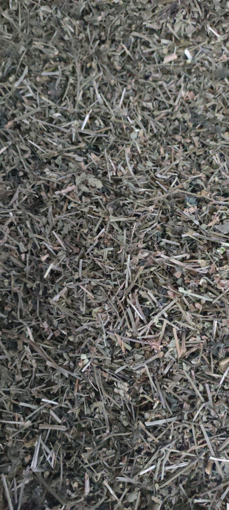 （热销）半枝莲新货药大量货源当天发货中药材批发祥泰
