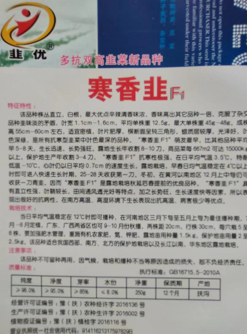 韭菜种子寒香韭F1韭菜品种耐高寒抗病性强高产
