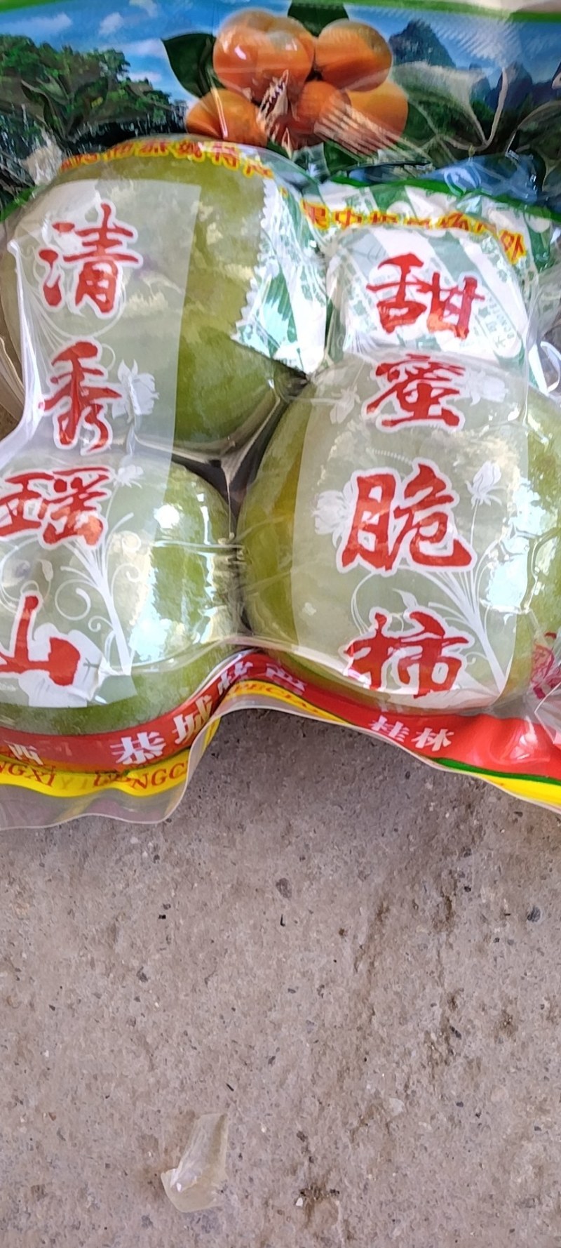 广西桂林市恭城县柿子