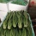 蒜苔菠菜香葱板栗西葫芦