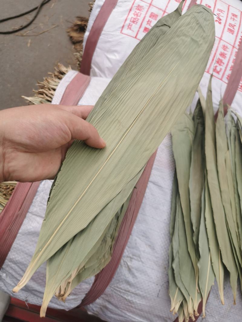 商用款野生干粽叶50斤包邮新鲜麻竹叶箬叶批发粽子叶