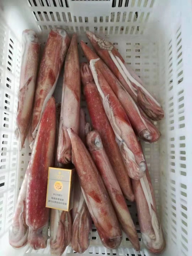 特钓管（活冻）