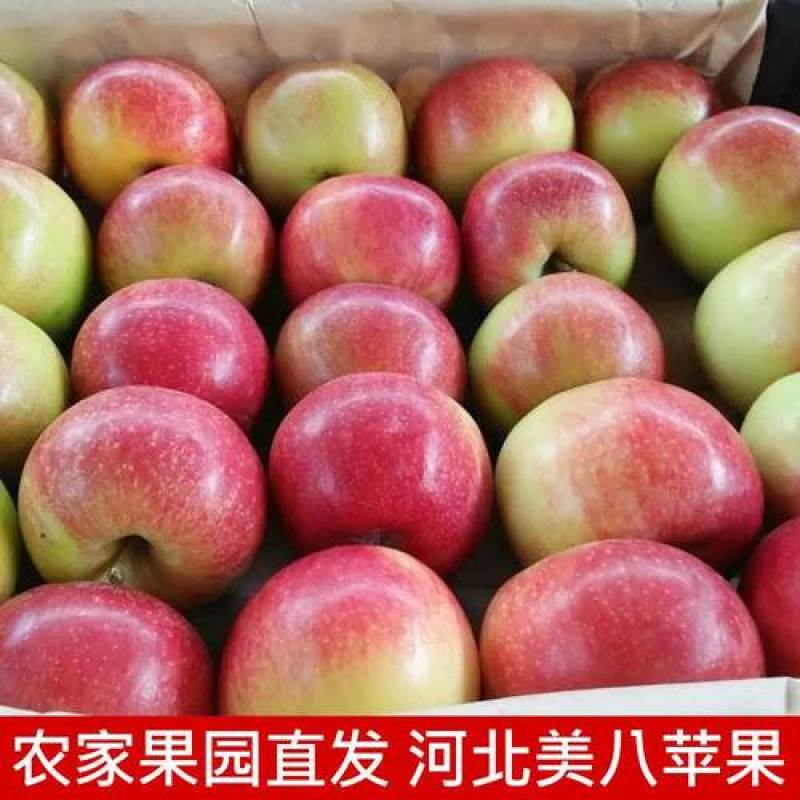 苹果美八苹果产地直供现摘现发全国发货一条龙服务