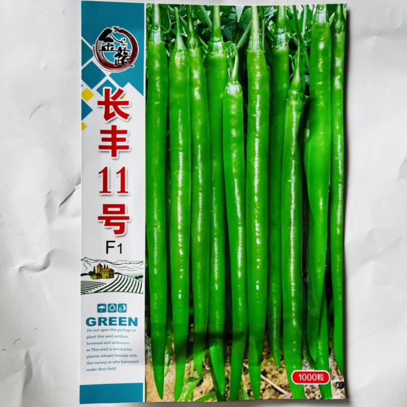 金蔬长丰11号线椒种子杂交一代品种种子青皮线椒品种