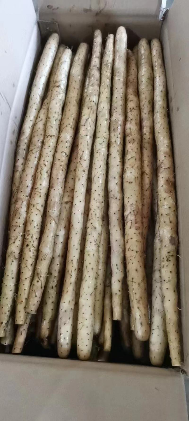 山药河北精品山药供应市场电商商超