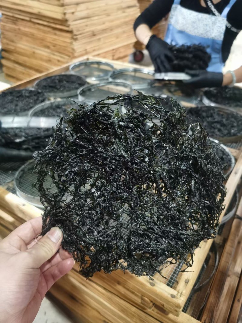头水紫菜