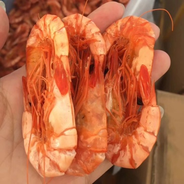 九节虾干