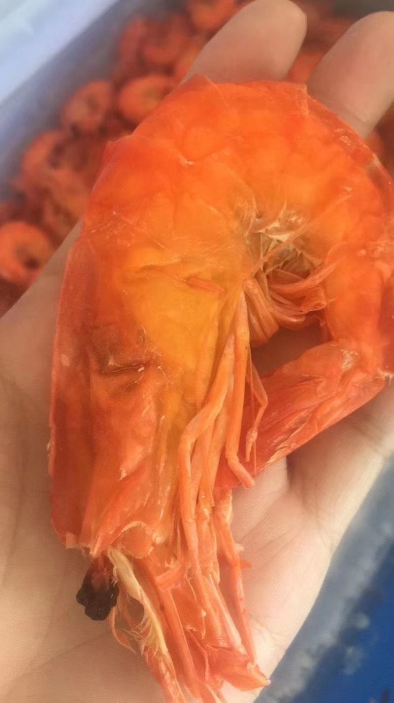 九节虾干
