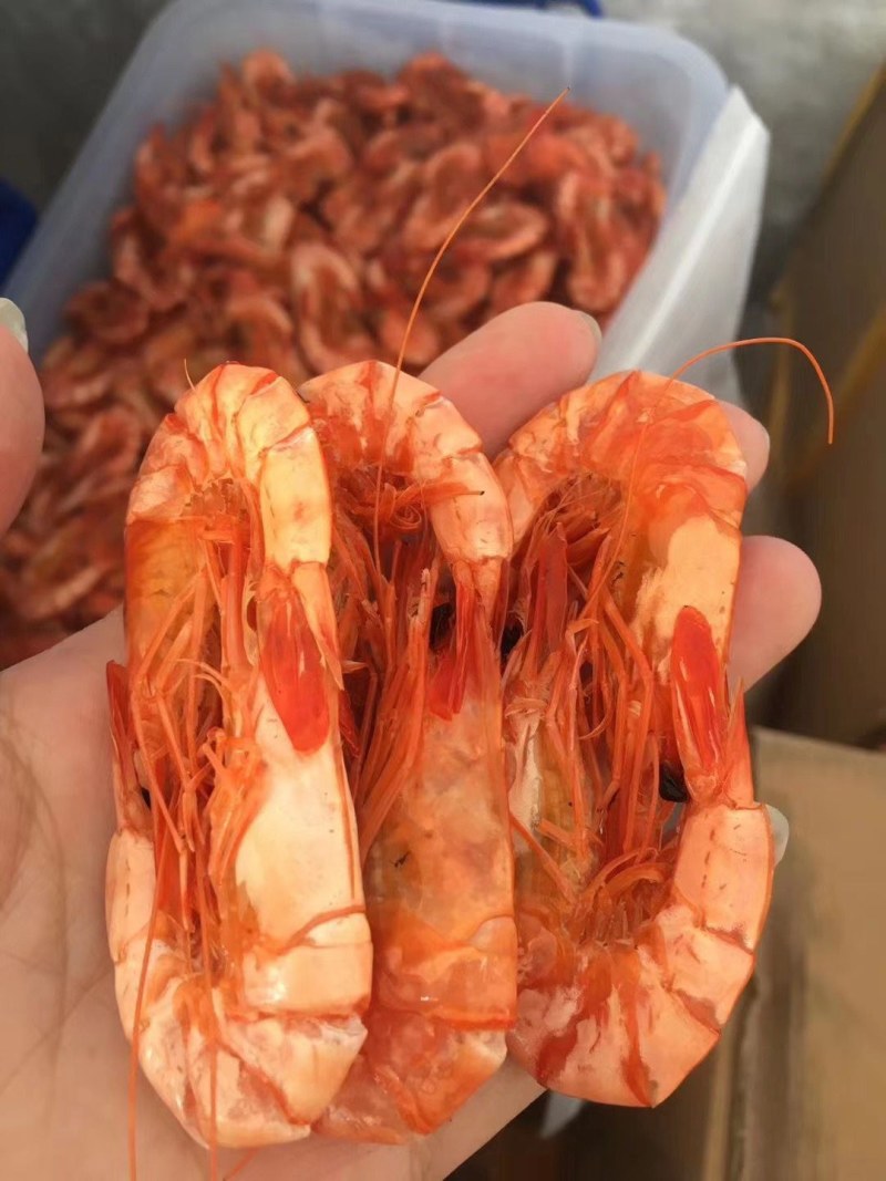 九节虾干