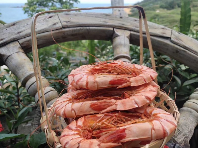 九节虾干