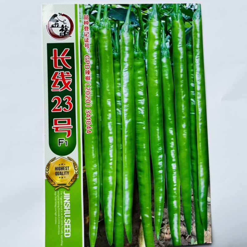 金蔬长丰11号线椒种子杂交一代品种种子青皮线椒品种