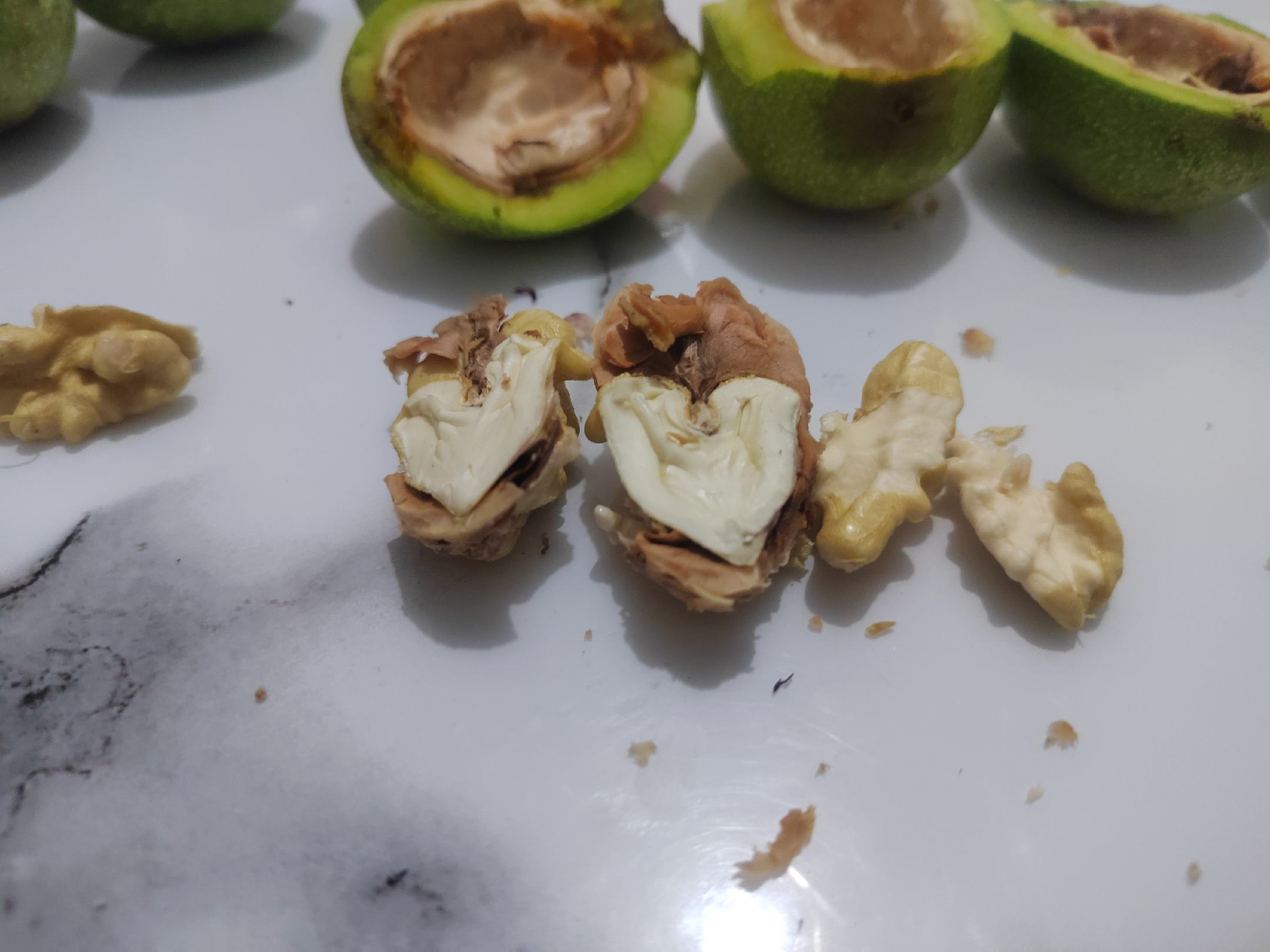 一张高清剖面图展示完整核桃外壳打开后,内部两瓣核桃仁之间连接的褐色网状薄膜即为分心木;背景为中药药材台,旁边放置电子秤显示0.3g分心木样本 核桃剖面结构示意图