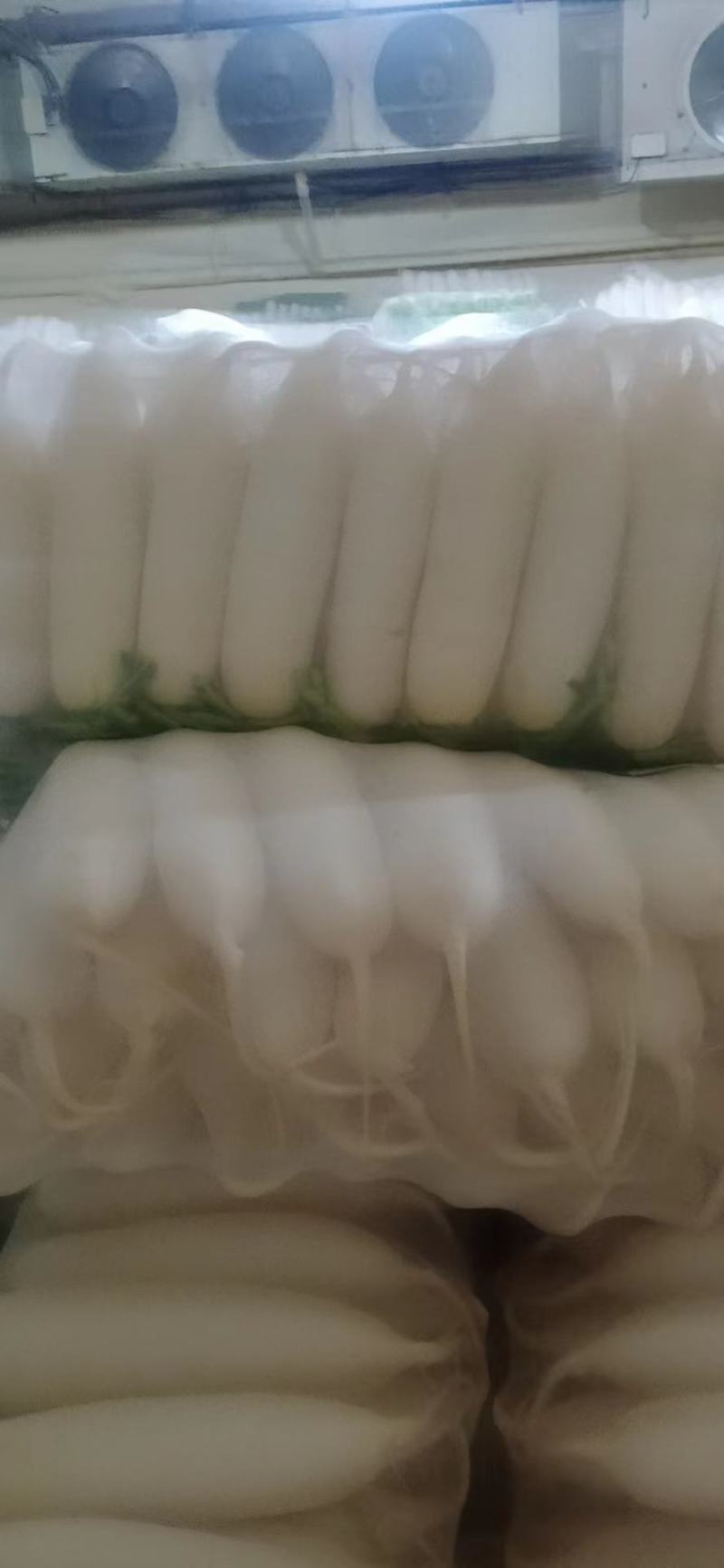 白萝卜打冷网纱袋1级货