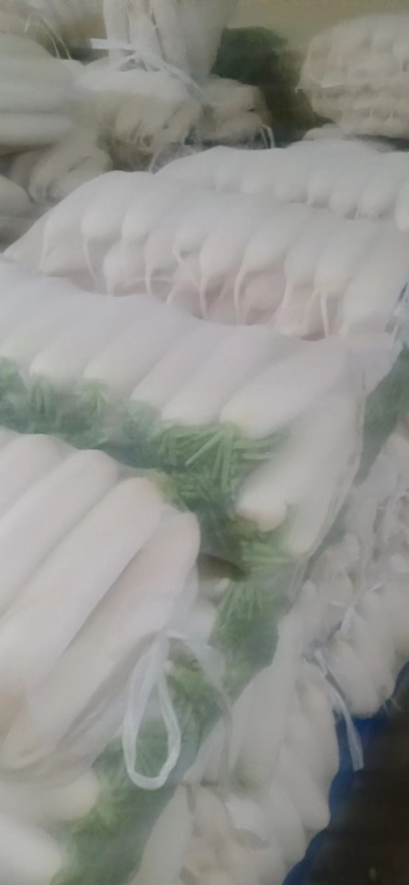 白萝卜打冷网纱袋1级货