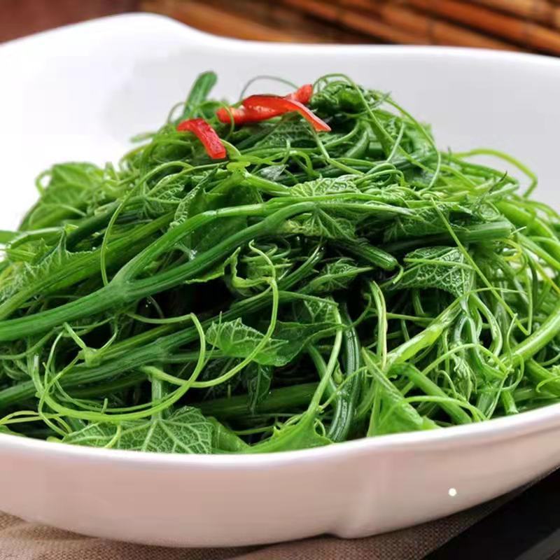 捧瓜尖佛手瓜尖龙须菜，大量上市中，新鲜采摘，欢迎老板采购
