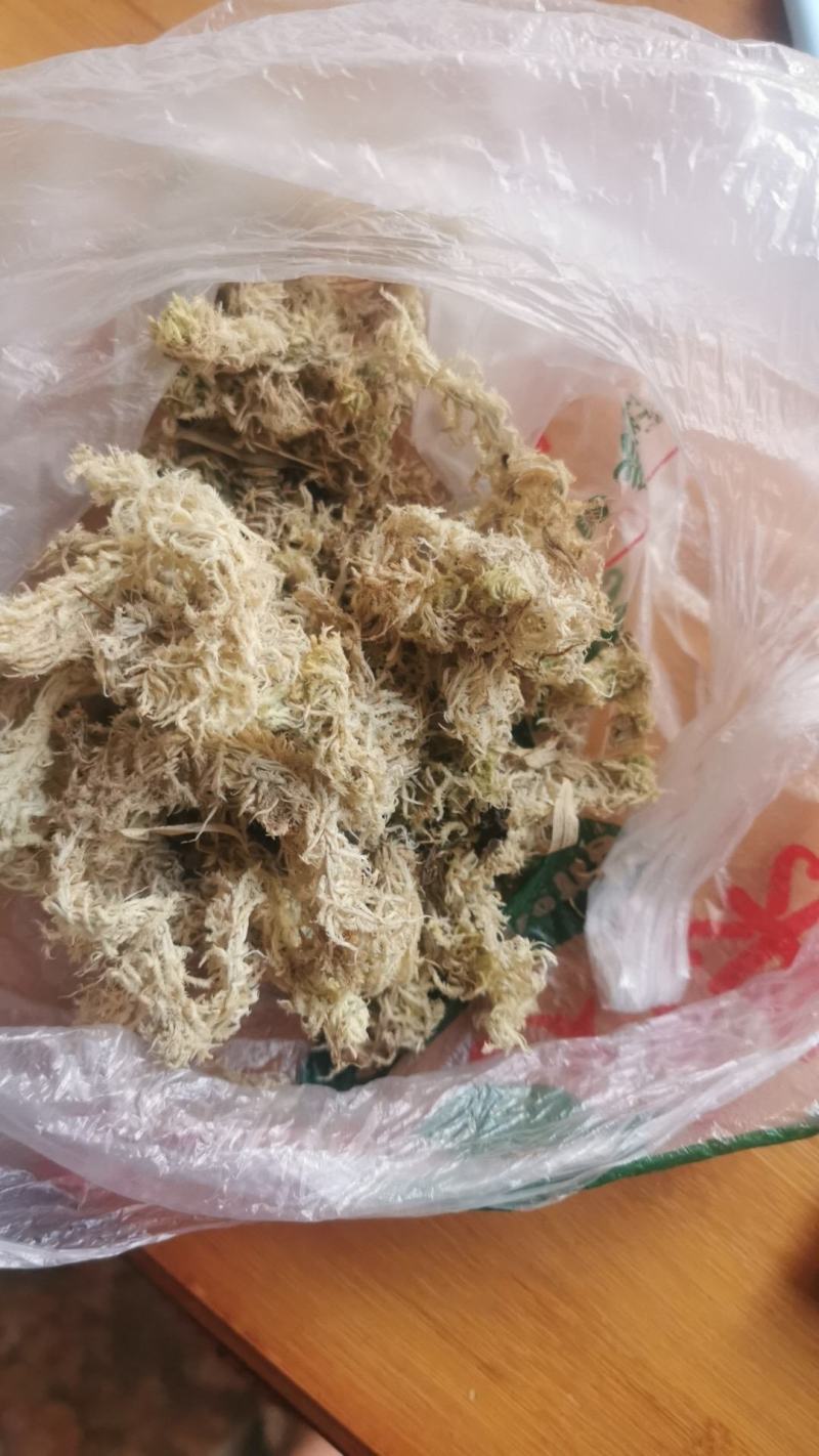 水苔
