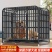 狗笼子大型中型犬室内带厕所分离加粗宠物笼金毛拉布拉多家用