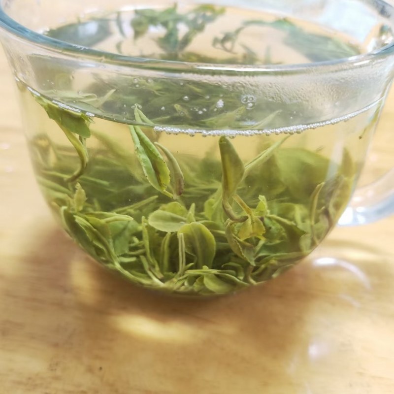 日照绿茶