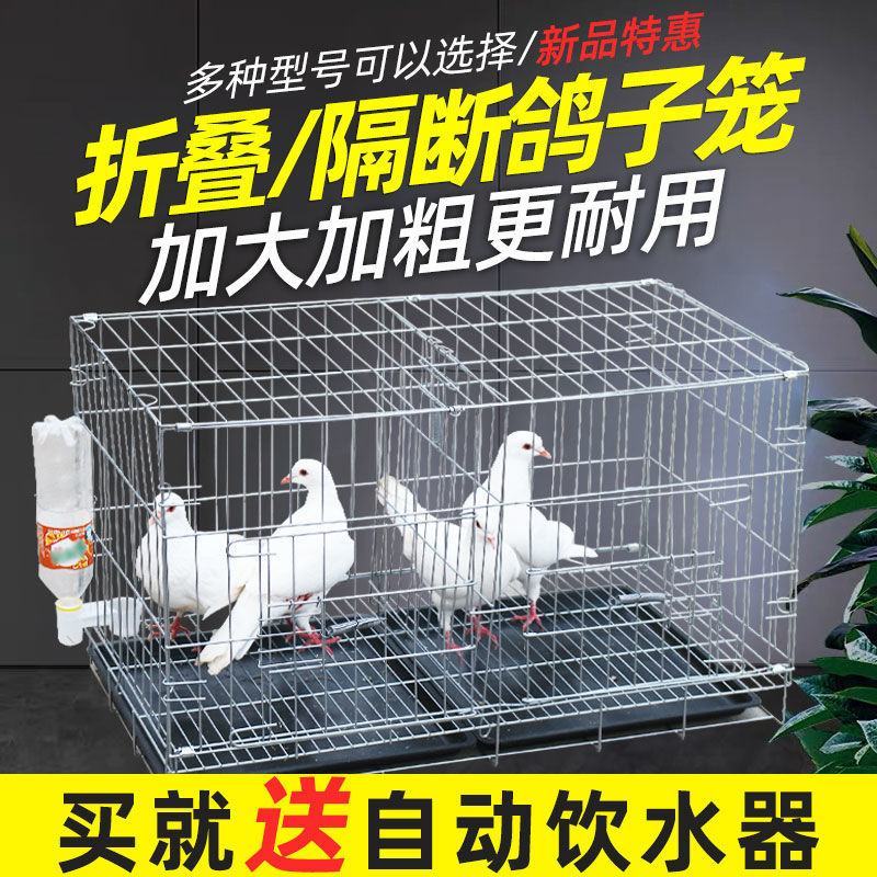 鸽子笼大号家用折叠带隔断鸽笼配对养殖繁殖笼子鸽子用具鸽棚