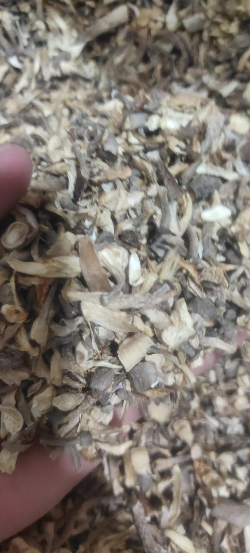 精品2023新货鹿茸菇，农家自种，整朵，碎菇，菌香浓郁