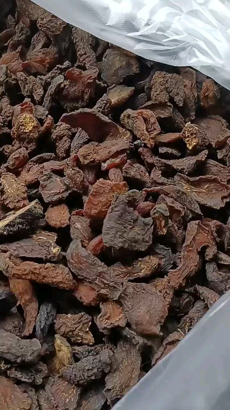 养生滋补料阿拉善肉苁蓉小茶丁，实惠款，买一送一
