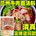白老师兰州牛肉面汤料拉面调料包商用酱料配方家用煮面汤料包
