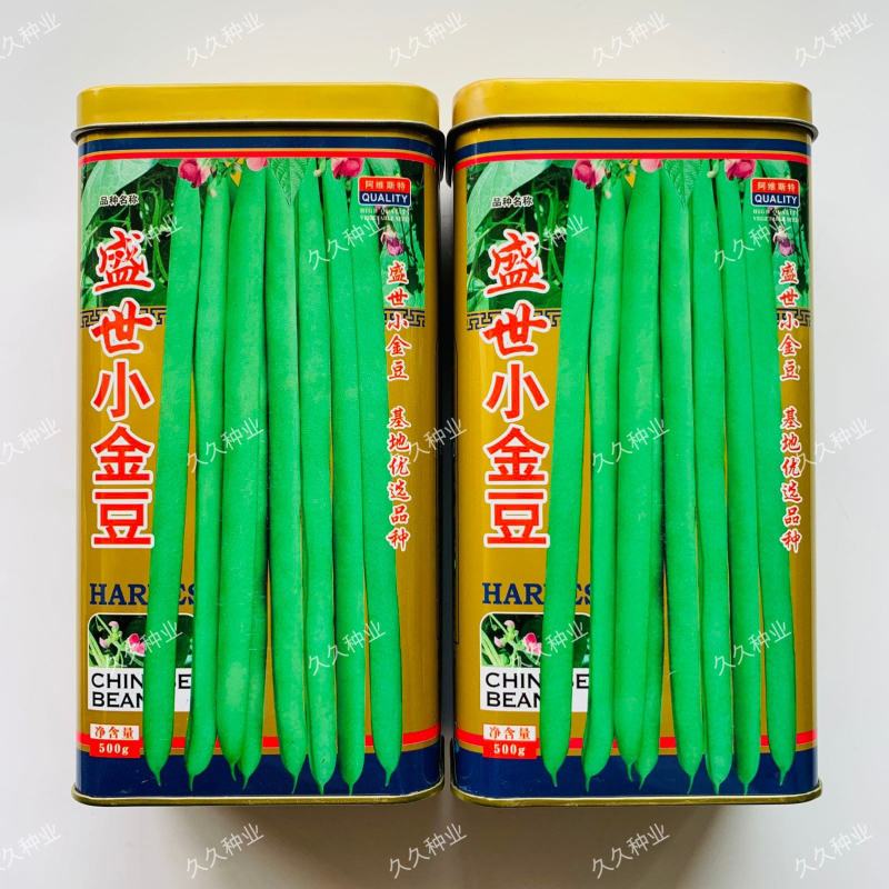 盛世小金豆种子四季豆种籽绿荚架豆角种子抗病高产春秋季蔬菜