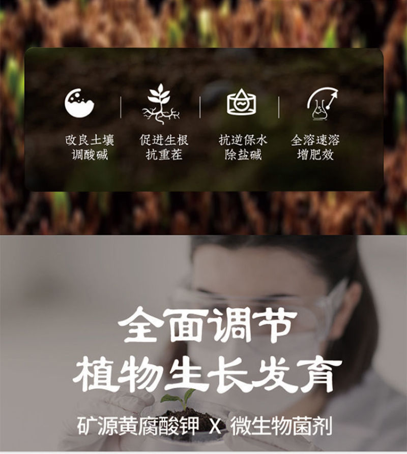 土壤活化剂黑水活化宝养花土蔬菜果园