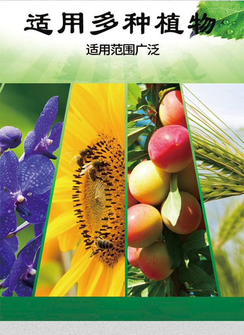 土壤活化剂黑水活化宝养花土蔬菜果园